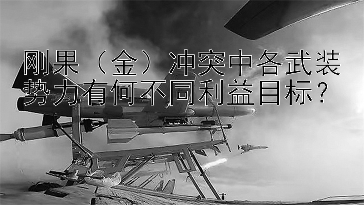 剛果（金）沖突中各武裝勢(shì)力有何不同利益目標(biāo)？