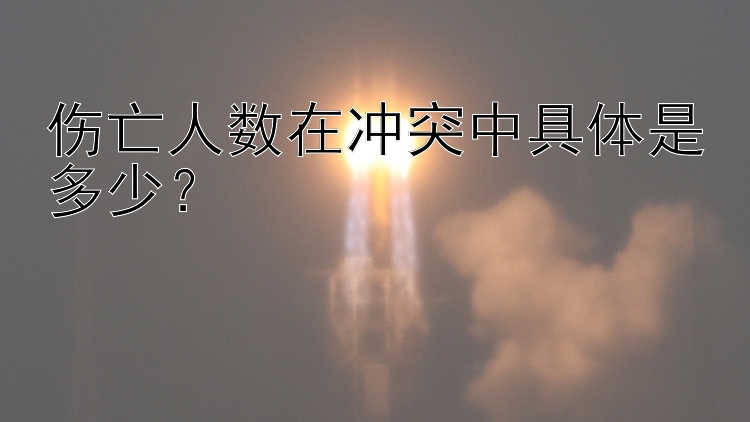 傷亡人數(shù)在沖突中具體是多少？