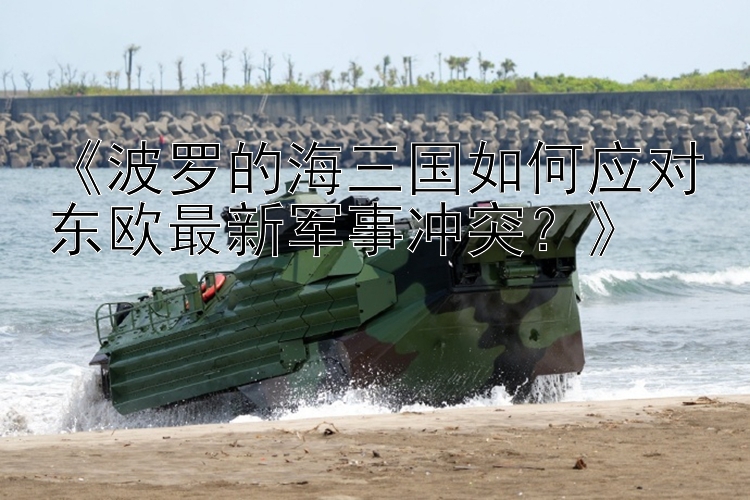 《波羅的海三國如何應對東歐最新軍事沖突？》