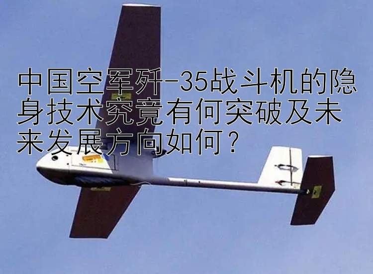 中國空軍殲-35戰(zhàn)斗機的隱身技術(shù)究竟有何突破