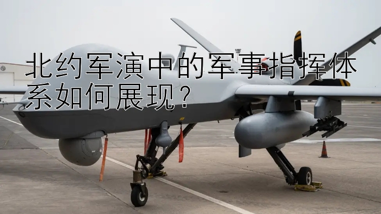 北約軍演中的軍事指揮體系如何展現(xiàn)？