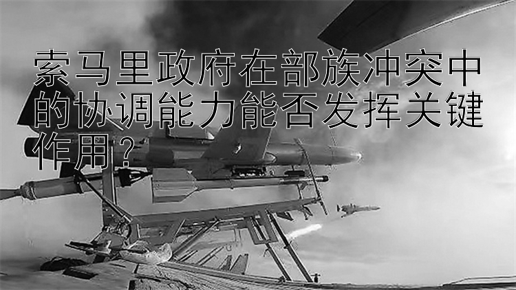 索馬里政府在部族沖突中的協(xié)調(diào)能力能否發(fā)揮關(guān)鍵作用？