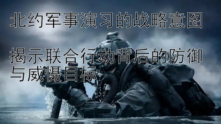 北約軍事演習(xí)的戰(zhàn)略意圖  
揭示聯(lián)合行動背后的防御與威懾目標