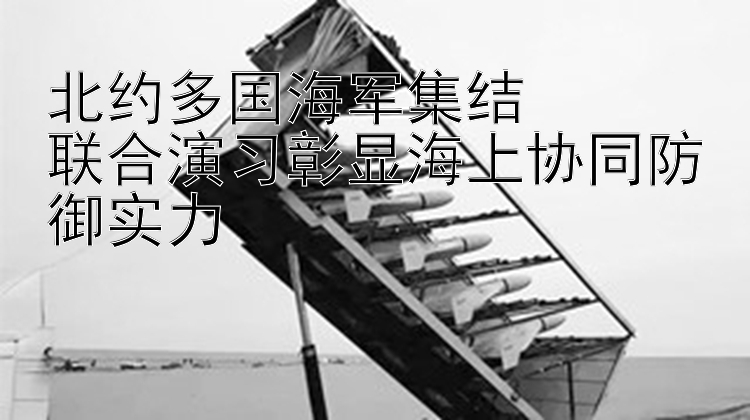 北約多國海軍集結(jié)  
聯(lián)合演習(xí)彰顯海上協(xié)同防御實(shí)力