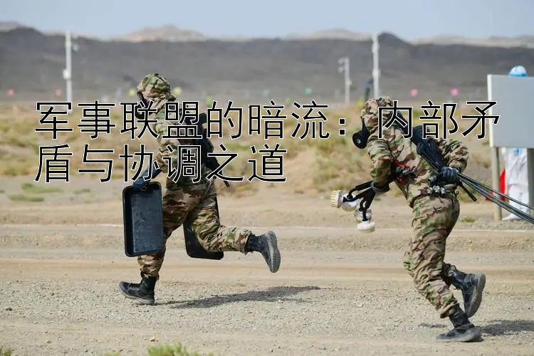 軍事聯(lián)盟的暗流：內(nèi)部矛盾與協(xié)調(diào)之道