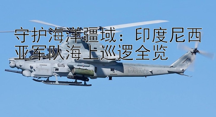 守護(hù)海洋疆域：印度尼西亞軍隊(duì)海上巡邏全覽