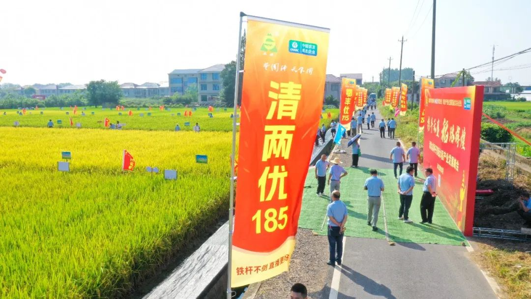 種業(yè)1.png
