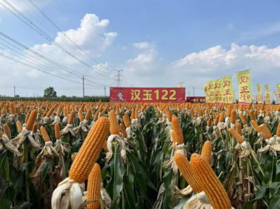 種業(yè)2.png
