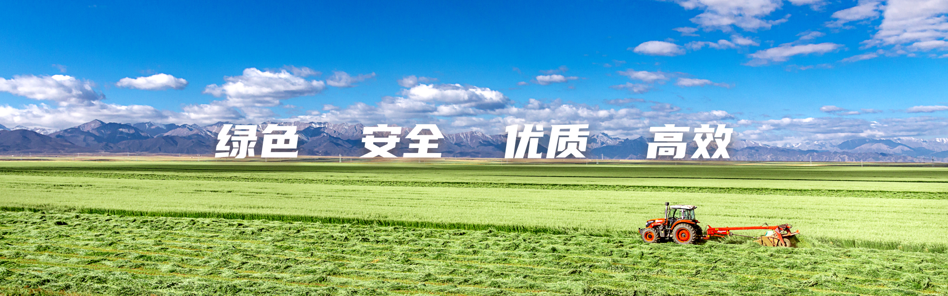 綠色  優(yōu)質(zhì)  安全  高效